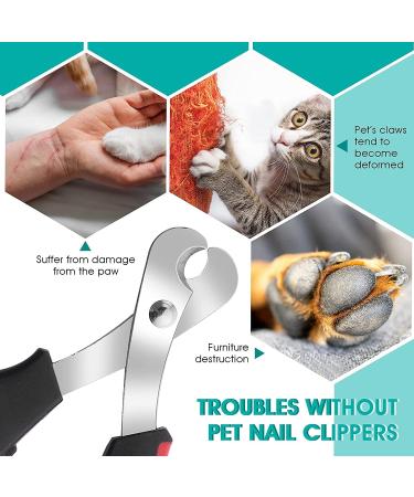 DERDOUT Pet Nail Clipper - Professional Stainless Steel Claw Trimmer for Cats, Small Breed Dogs, Rabbits & Small Animals - Black - Buy Online on SooperMarket.com