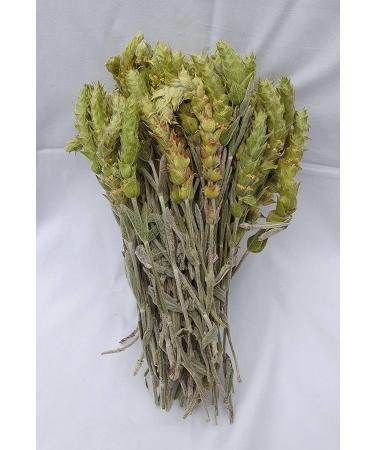 CHEFS&CO Mountain Tea (Sideritis scardica) | Loose Tea | Whole with Stems Leaves & Flowers | Handpicked | Strong Aroma | Antioxidant | Rich in Flavonoids & Essential Oils (NATURAL 80g (Pack of 1)) NATURAL 80g (Pack of 1) - Buy Online on SooperMarket.com