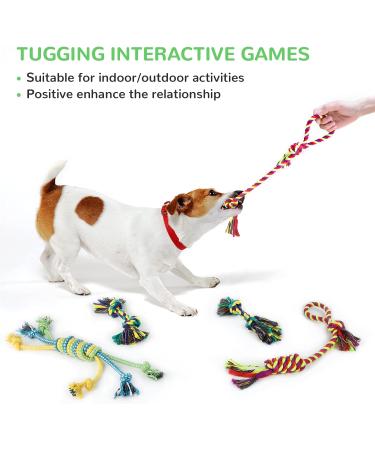 12 Piece Cute Plush Squeak Dog Toys Set | Natural Cotton Puppy Rope & Chicken Tools for Pets | Perfect for Dogs & Puppies - International Shipping - Buy Online on SooperMarket.com
