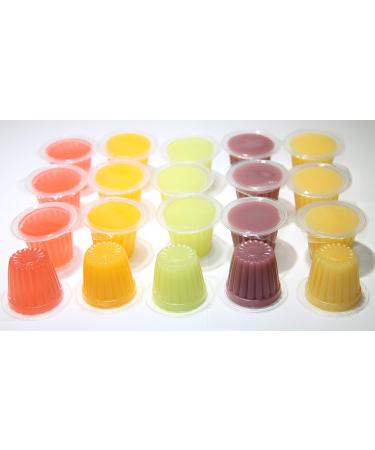 Jelly Fruit Pots Reptile Food - Protein Jelly Fruit Cups for Lizards Gecko Insects Birds Parrots - Bulk Packs (Fruit Mix 20) Fruit 1 count (Pack of 20)