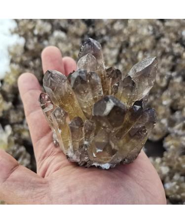 for Natural Smokey Quartz Tea Crystal Cluster Stones Crystal Point Specimen Home Decoration Raw Crystals Gemstones and Crystal dingchi FUZEGRDLI (Size : 300-400g)