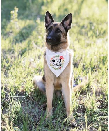 NTKIO Big Sister Pet Dog Bandana - Funny White Flower Pattern Plaid Cotton for Pregnancy Announcement and Gender Reveal - Dog Lovers Gift - Buy Online on SooperMarket.com