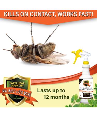 128 oz Natural Bug and Insect Killer for Indoor and Outdoor Use - Flea, Tick, Ant, Spider, Bed Bug, Dust Mite, Roach Control with Trigger Sprayer - 1 Gallon - Buy Online on SooperMarket.com