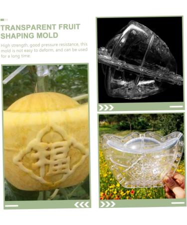 GANAZONO 4pcs Clear Fruit Mini Watermelon Plastic Fruit Square Mold Small Fruit Mold Ginseng Tool Pumpkin - Buy Online on SooperMarket.com
