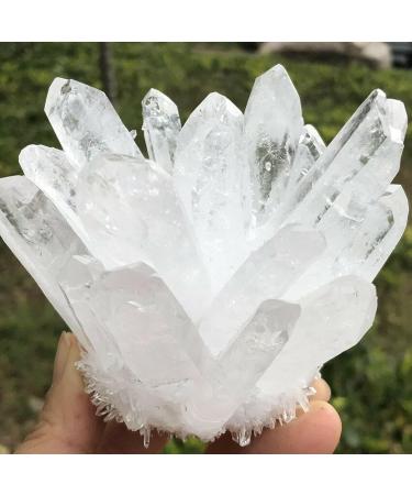 Natural Transparent White Quartz Crystal Cluster Specimen Reiki Stone kaixun (Size : 400-450g) - Buy Online on SooperMarket.com
