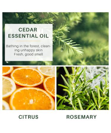 Handmade Men s Exfoliating Soap Bar | Citrus Cedar Shampoo & Body Scrub | Nourish & Cleanse Skin & Hair - Buy Online on SooperMarket.com