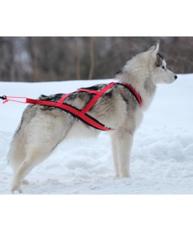 Northern Howl X-Back Dog Harness - XL Red for Canicross Bikejoring Skijoring & Dogscooting - International Shipping Available - Buy Online on SooperMarket.com