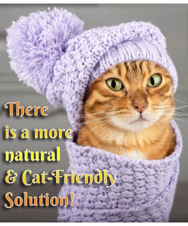 Fluffy Feline Cat Dandruff Care Spray - Buy Online at [Your Company Name] - Buy Online on SooperMarket.com