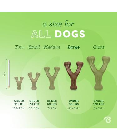 Benebone Wishbone Real Chicken Medium Dog Chew Toy | Durable & Ideal for Aggressive Chewers - International Shipping Available - Buy Online on SooperMarket.com