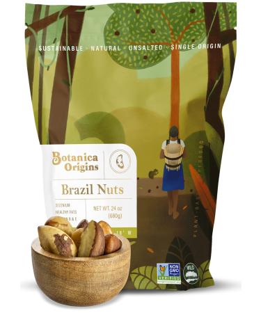 Botanica Raw Brazil Nuts, 24 oz | Whole | Unsalted | Wild | Non-GMO | Vegan, Keto and Paleo Friendly 1.5 Pound (Pack of 1)