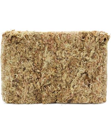 Buy Terra Exotica Sphagnum Moss (3x1 Kg) - Premium Peat Moss for Garden Houseplants & Terrariums - International Shipping Available - Buy Online on SooperMarket.com