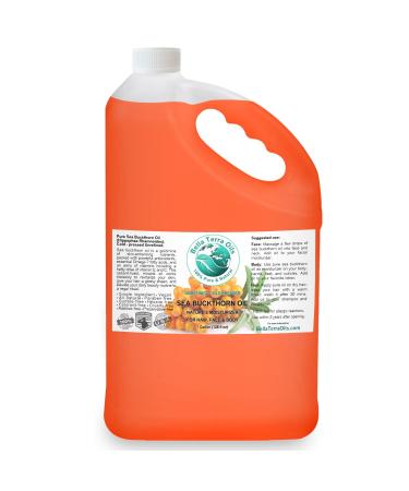 Bella Terra Oils Pure Sea Buckthorn Oil 1 gallon Unique Nutrient Blend Nourishing Non-Greasy Radiant Glow for Skin Softness for Hair 12.8 Fl Oz (Pack of 10)