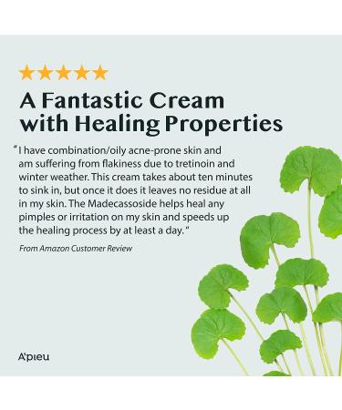 A'PIEU Madecassoside 2X Cream 4.06oz for Combination Skin - Soothes Dryness, Sun Damage, Dark Spots - Centella Asiatica Formula - Buy Online on SooperMarket.com