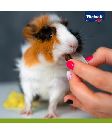 Vita Power Frutti Corn 30g Sugar-Free Fruit Cuts for Rodents with Banana Cowardly & Dates Portionable Pet Treats - Buy Online on SooperMarket.com