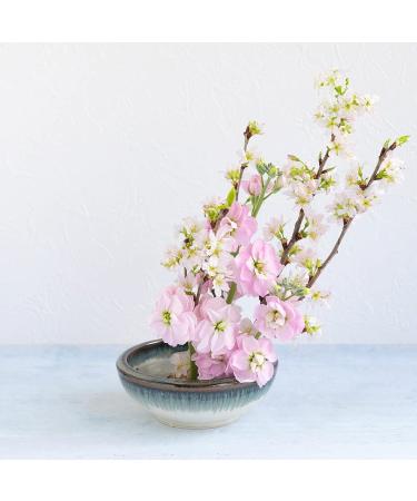 Wazakura Minoyaki Series Japanese Ikebana Essential Tool Kit - White & Blue Kenzan + Brass Kenzan - Floral Arranging Set - Buy Online on SooperMarket.com