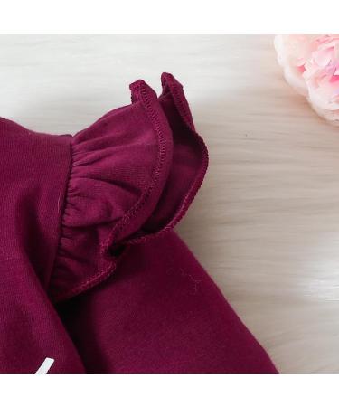 Puseky Toddler Baby Girls Cute Letter Print Shirt and Floral Pant Outfit Set 12-18 Months - Wine Red - Buy Online on SooperMarket.com