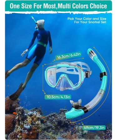 Seovediary Snorkel Set for Adults | Anti-Fog Panoramic Swim Mask & Dry Top Snorkel Kit | Green & Transparent | Perfect for Snorkeling & Scuba Diving - Buy Online on SooperMarket.com
