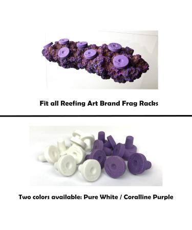 Reefing Art Ceramic Coralline Purple Coral Frag Plugs 30 Pack Tiles for SPS LPS - Buy Online on SooperMarket.com