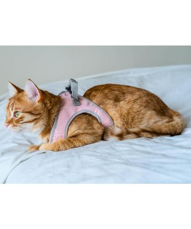 Buy Belffy Cat Dishes & Leash Set - Automatic Leash for Cats Kittens & Dogs - Stylish Pink Jacket for All Pets - Buy Online on SooperMarket.com