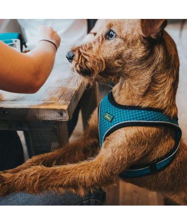 HUNTER HILO COMFORT Harness for Small Dogs - Mesh & Reflective Elements Turquoise ML - International Shipping Available - Buy Online on SooperMarket.com