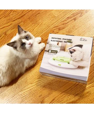 Pettom Interactive Cat Toy | Electric Butterfly Funny Exercise Toy for Kittens | Rotating Pop N Play Toy with Replacement Feathers | Green - Buy Online on SooperMarket.com