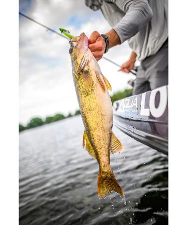 Berkley Gulp! Alive! 1-Inch Minnow Smelt - Realistic and Lifelike Fishing Bait - Buy Online on SooperMarket.com