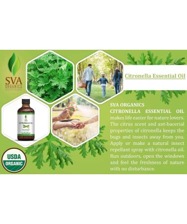 SVA Organics Citronella Essential Oil USDA Organic 4 Oz - Pure & Natural Therapeutic Grade Oil for Skin, Body, Diffuser & Candle Making - Buy Online on SooperMarket.com