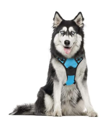 Rabbitgoo dog harness medium -sized dogs anti train crockery dog with control no pull adjustable dog dishes large dogs breathable reflex stripes breast harness dog safe guide light blue XL XL (1 Pack) light blue
