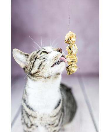 MASCATA VITAL Fish Snacks for Cats & Dogs Protein-Rich Fatty Acid Boost Gently Dried Cod Treats - Premium European Quality - Buy Online on SooperMarket.com