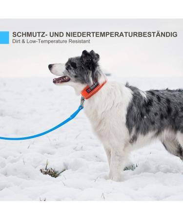 Toozey Waterproof Dog Drag Line - 3m to 20m Leashes Robust Training Lines for All Dog Sizes Includes Hand Loop & Mains Bag - Perfect for Reliable Outdoor Training - Buy Online on SooperMarket.com