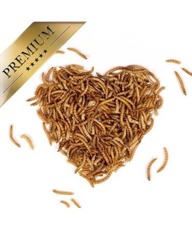 Lyra PET Mealworms 3 x 1 kg | Premium Fish Feed for Decorative & Pond Fish | Rich in Protein Vitamins & Minerals | Ideal Nutrient Source for KOI - Buy Online on SooperMarket.com