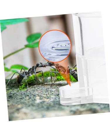 SEWOART 2pcs Ant Water Feeder Ants Ant Nest Water Feeder Ant Liquid Feeder Pet Waterer Transparent Acrylic - Buy Online on SooperMarket.com
