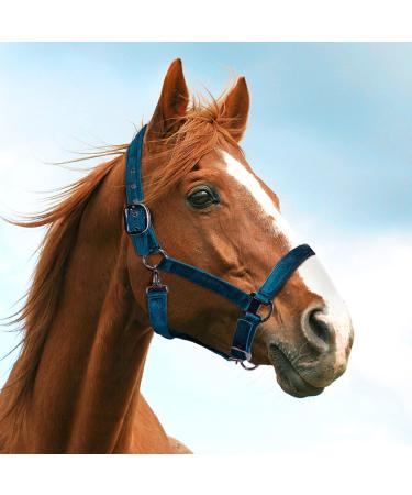 Nobleza Green Knotted Halter for Horses | Padded Nose & Neck | Perfect for Riding Training - International Shipping Available - Buy Online on SooperMarket.com