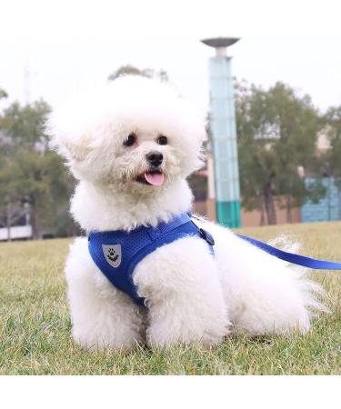 Buy LOOK ANDES Small Dog Harness & Leash Reflective Soft Padded Air-Mesh for XS Puppies & Cats (24-27cm Chest) Blue - Buy Online on SooperMarket.com