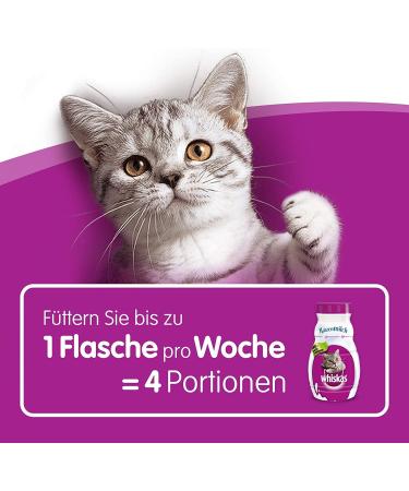 Whiskas Cat Milk for Cats from 6 weeks - Delicious Snack for a Happy Cat - Lactose-free and Easily Digestible - Different Sizes Milk 3 l (Pack of 1) - Buy Online on SooperMarket.com