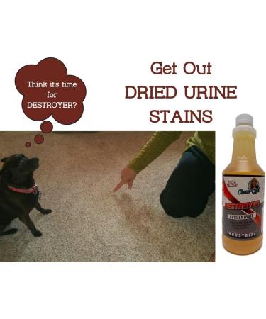 DESTROYER - Ultimate Permanent Urine Stain & Odor Remover | No More Re-Marking | Dissolves Urine Salts - Buy Online on SooperMarket.com