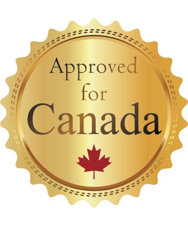 WAHL Canada Deluxe Groomer Rechargeable 6-in-1 Detailer Personal Trimmer Ear Nose and Brow Trimmer Certified for Canada - Model 5556 Black 1 Count (Pack of 1) - Buy Online on SooperMarket.com