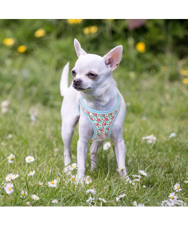 Heele Dog Harness for Small & Medium Dogs - Adjustable Reflective Soft Mesh Puppy Harness in Flower Cyan Breathable & Comfortable Design - Buy Online on SooperMarket.com