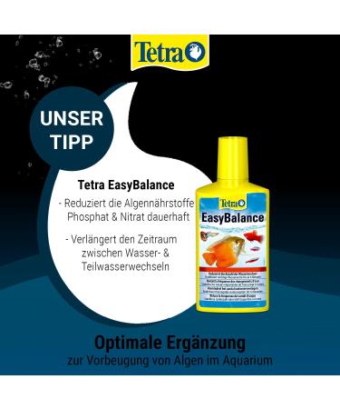 Tetra Algostop Depot - 12 Stable Tablets for Long-Term Algae Prevention in Aquariums 40L+ - Buy Online on SooperMarket.com
