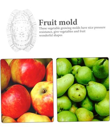 Kisangel Vegetable Panax Ginseng an Fittings Cucumber Styling Shaping Melon Acrylic - Buy Online on SooperMarket.com