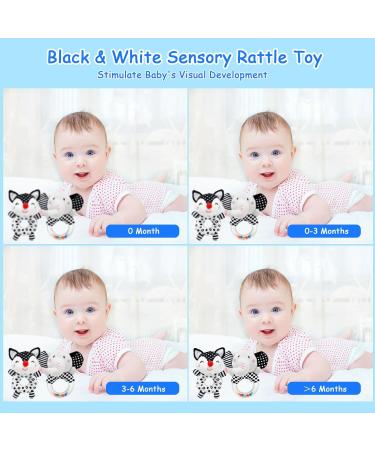 Shop Ballery 2-Piece Baby Rattles | Soft Plush Toys for 0-6 Months | Perfect Gripping & Rattling Fun - Buy Online on SooperMarket.com