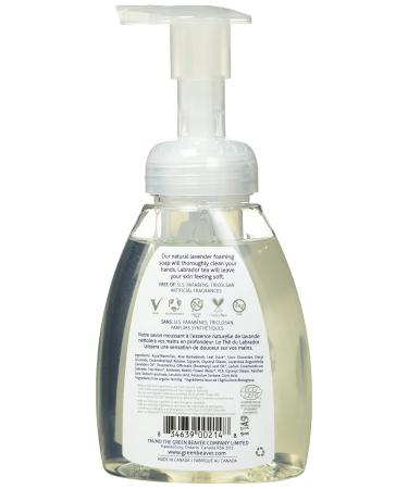 GREEN BEAVER Foaming Hand Wash - Lavender Scent 250 ML | Eco-Friendly & Gentle Cleansing for All Skin Types - International Shipping Available - Buy Online on SooperMarket.com
