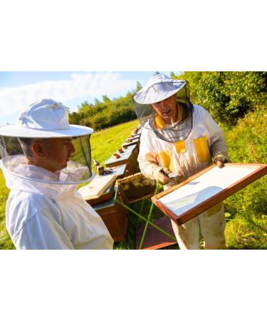 Pure Wild Raspberry Honey - 500g | Raw & Natural | Ethically Harvested | Boosts Vitality and Immunity | Sustainable Packaging - Buy Online on SooperMarket.com
