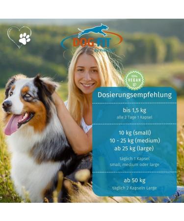 Dog Fit by Prethis - Vegan B Vitamin Complex for Dogs | Nerve Strengthening Incontinence & Nervousness Support | Large Animals (25kg+) - Buy Online on SooperMarket.com