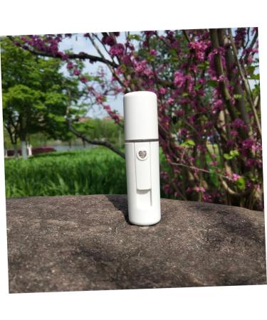 Gogogmee Air Humidifier Facial Mister Spray Humidifier Electric Face Mister Mist Facial Sprayer White - Buy Online on SooperMarket.com