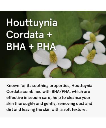 Houttuynia Cordata Clarifying Facial Cleanser 5 fl oz - Korean Skin Care for Acne Prone Oily Skin - Buy Online on SooperMarket.com