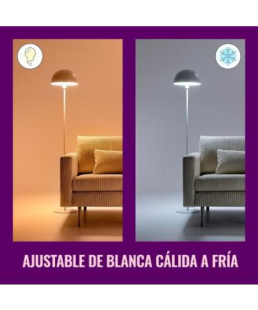 WiZ Connected Color 60W Candle B11 Smart WiFi Light Bulb  16 Million Colors  Compatible with Alexa and Google Home Assistant  No Hub Required  1 Bulb Candle Color 1 Count (Pack of 1) - Buy Online on SooperMarket.com