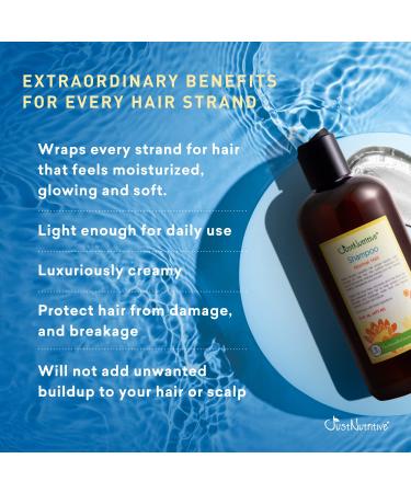 Just Nutritive Normal Hair Shampoo | Best Shampoo for Normal Hair | Fresh & Healthy Hair | International Shipping Available - Buy Online on SooperMarket.com