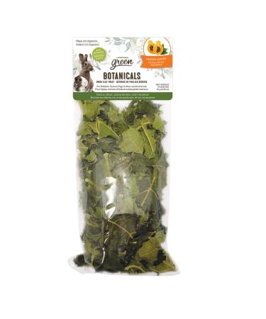 Living World Green Botanicals Dried Leaf Treat - Papaya Leaves - 10 g (0.35 oz)