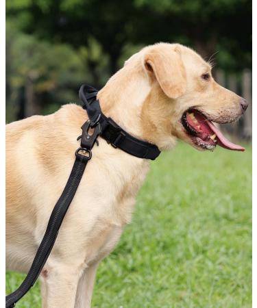 Joyal Tactical Dog Collar - Heavy-Duty Handle for Medium Dogs | QR Code Dog Brand | Black M Size - Buy Online on SooperMarket.com